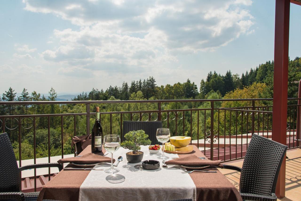 Hotel Villa Magus Kladnitsa Luaran gambar